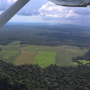 Colombia ampliará programa contra deforestación con apoyo de Noruega
